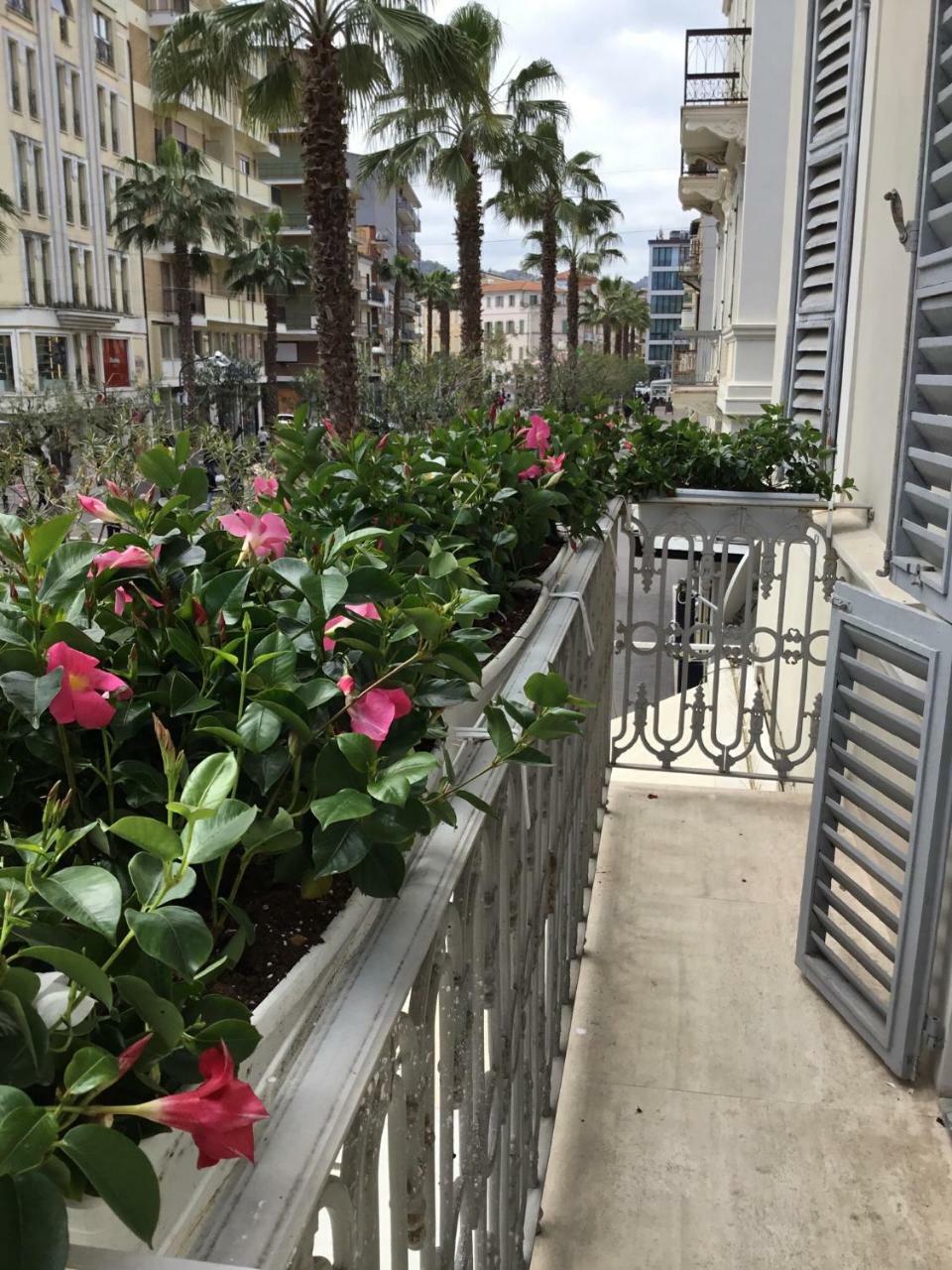 Palazzo Dei Grifoni - Luxury Suites - سان بنيديتّو ديل ترونتو المظهر الخارجي الصورة